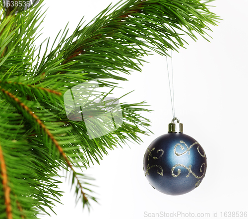 Image of blue decoration ball on fir branch