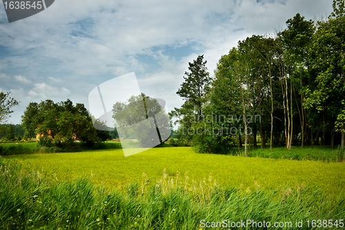Image of Nature Rural Landscape