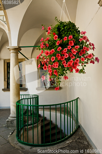 Image of flowers in gallery