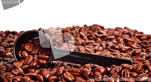 Image of Coffee Beans and Measuring Spoon