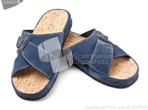 Image of two blue slippers