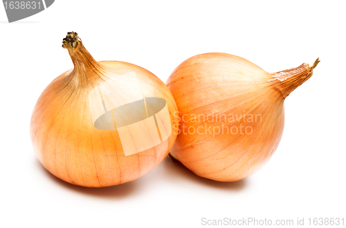 Image of Two Onions