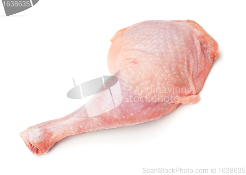 Image of Chicken Thigh