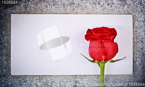 Image of Red Rose and Letter