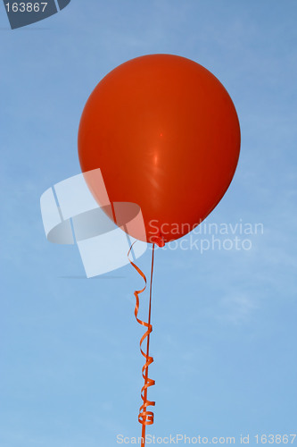 Image of Orange Party Balloon