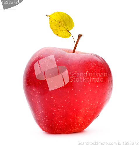 Image of Red Apple