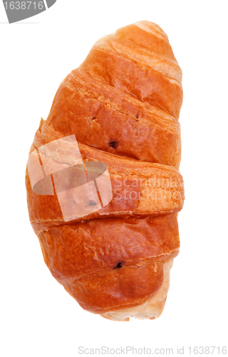 Image of Fresh Croissant