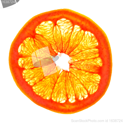 Image of Grapefruit