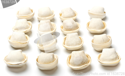 Image of Raw Meat Dumplings