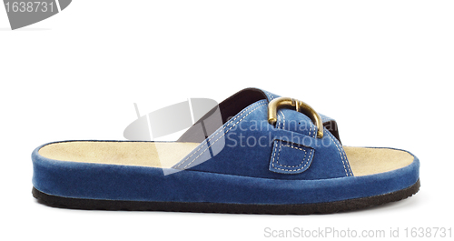 Image of blue slipper 