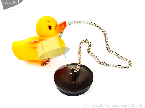 Image of toy duck with plug for bath
