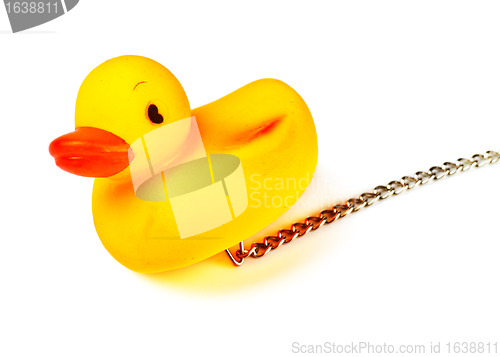 Image of toy duck for bath