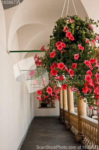 Image of flowers in gallery