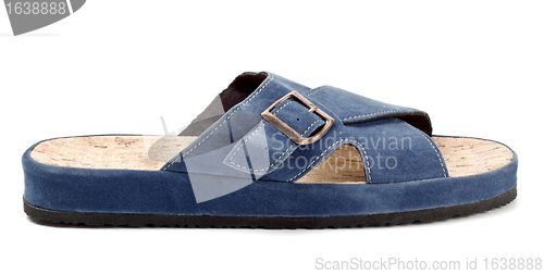 Image of blue slipper