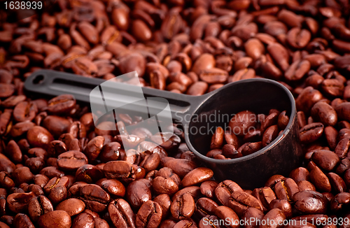 Image of Coffee Beans and Measuring Spoon