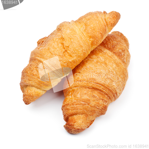 Image of two fresh croissant