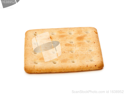 Image of Salty Cracker