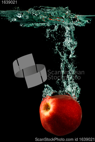 Image of Apple Falling To Water