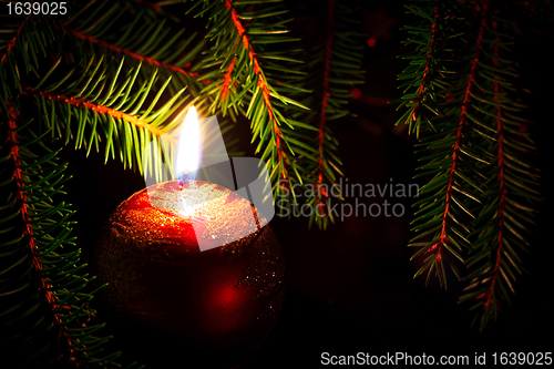 Image of candle and fir branches