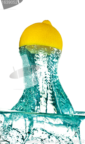 Image of Lemon Jumps from Water