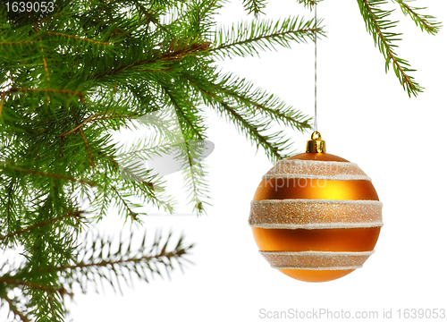 Image of decoration ball on fir branch