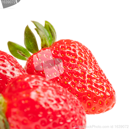 Image of Strawberries