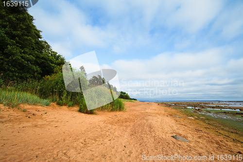 Image of Beach In Summer