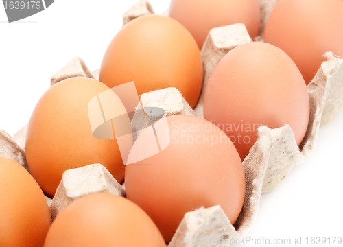 Image of Eggs In Tray