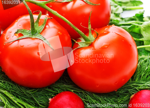 Image of vegetables for salad