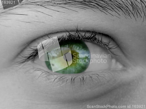 Image of Female Eye