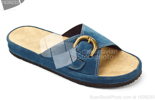 Image of blue slipper