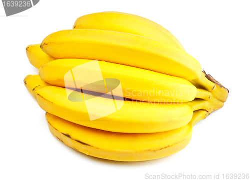 Image of bunch of bananas