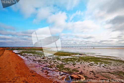 Image of Beach In Summer