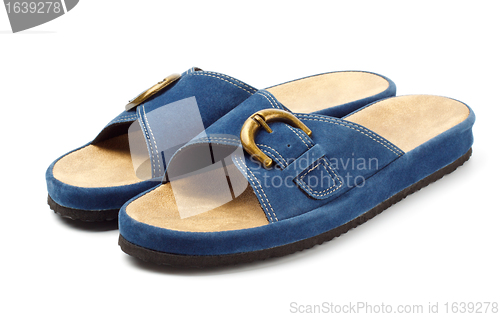 Image of two blue slippers