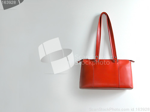 Image of Female Bag