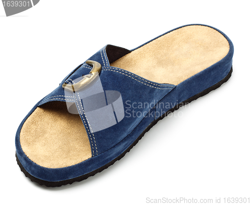 Image of blue slipper