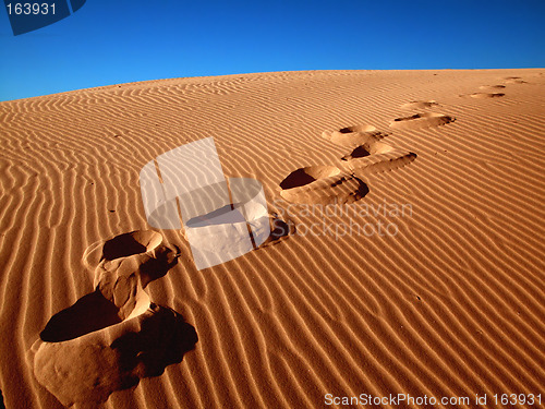 Image of Footprints