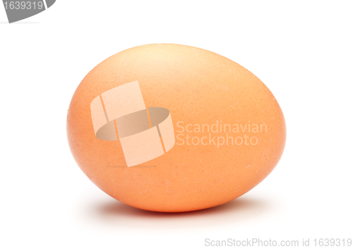 Image of Brown Egg