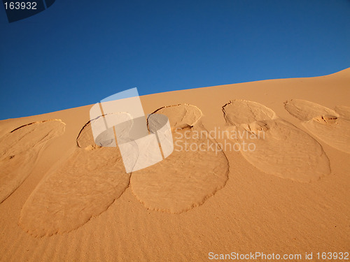 Image of design,footprints