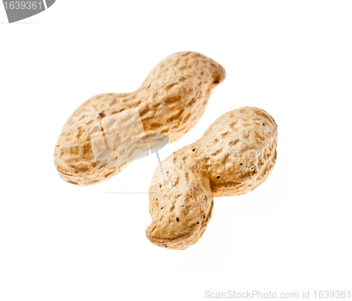 Image of Peanuts