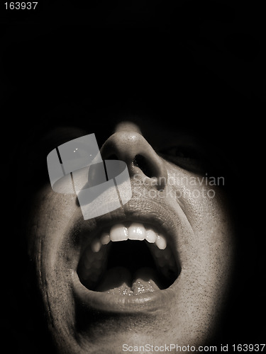 Image of Man yelling