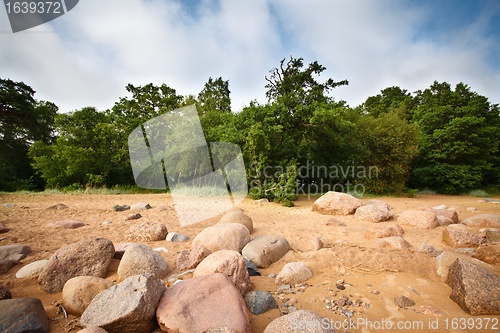 Image of Beach In Summer