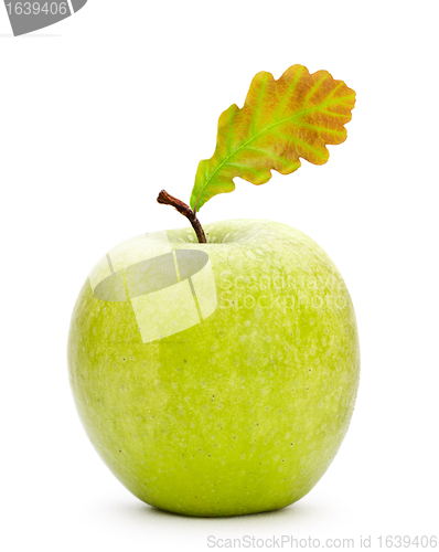 Image of GMO Apple