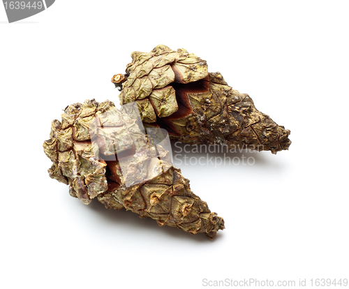 Image of pinecones