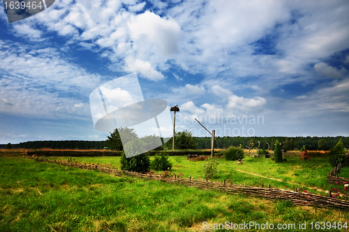 Image of Nature Rural Landscape