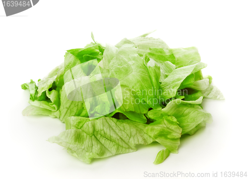 Image of Green Iceberg Salad