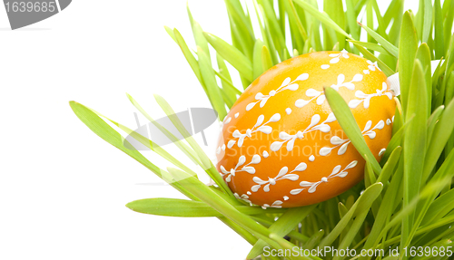 Image of Easter Egg in Grass