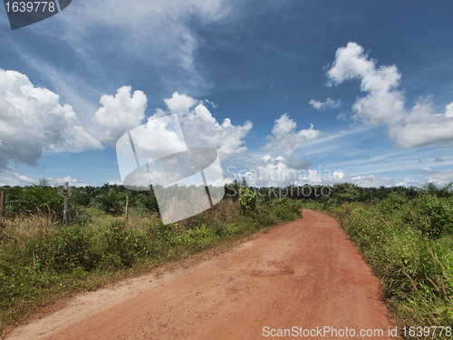 Image of Tropical countryside landscape