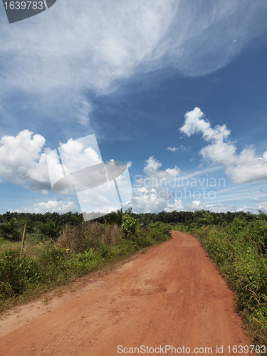 Image of Tropical countryside landscape