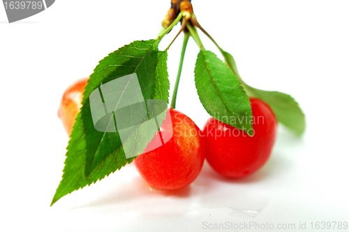 Image of Cherry fruits